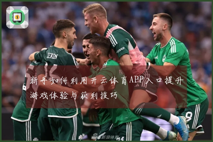 新手如何利用开云体育APP入口提升游戏体验与获利技巧