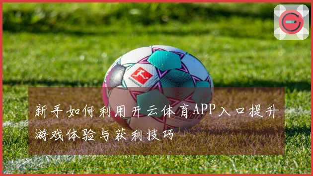 新手如何利用开云体育APP入口提升游戏体验与获利技巧